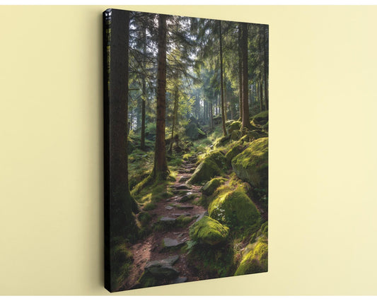 A lush, verdant forest with a winding path covered in moss and rocks, creating a serene and tranquil atmosphere.