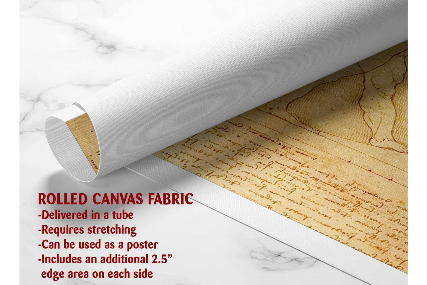 Vitruvian Man Canvas | Museum Quality Canvas Print - Leonardo da Vinci Wall Art