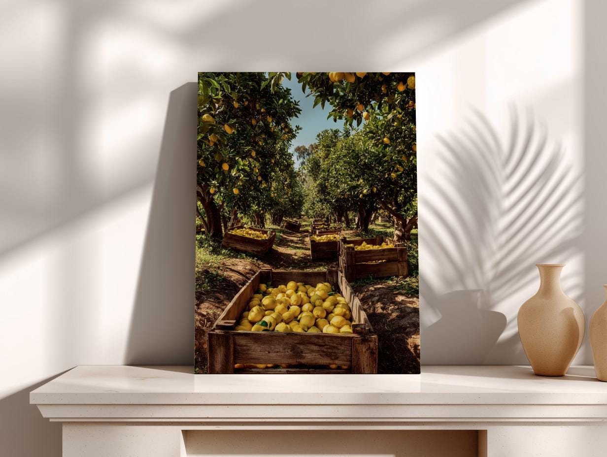 A wooden crate filled with ripe lemons sits on a white shelf, surrounded by other wooden crates and baskets, with a lush green orchard in the background.