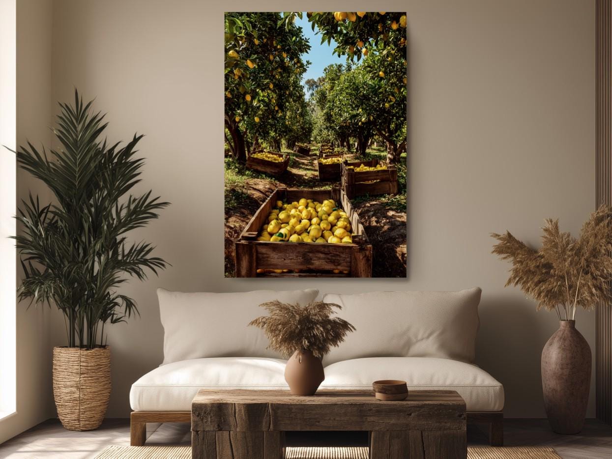 a lush orchard with numerous orange trees laden with ripe fruit. The trees are surrounded by a dirt path, and the fruit is visible in wooden crates. The scene is set against a backdrop of a clear blue sky, creating a serene and picturesque atmosphere.