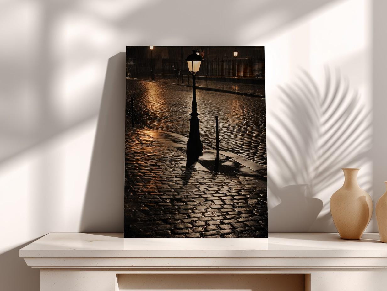 A black and white photograph of a cobblestone street at night, with a street lamp casting a shadow on the ground.