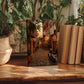 a wooden table with a framed photograph of a cobblestone street in a European village, surrounded by potted plants and books.