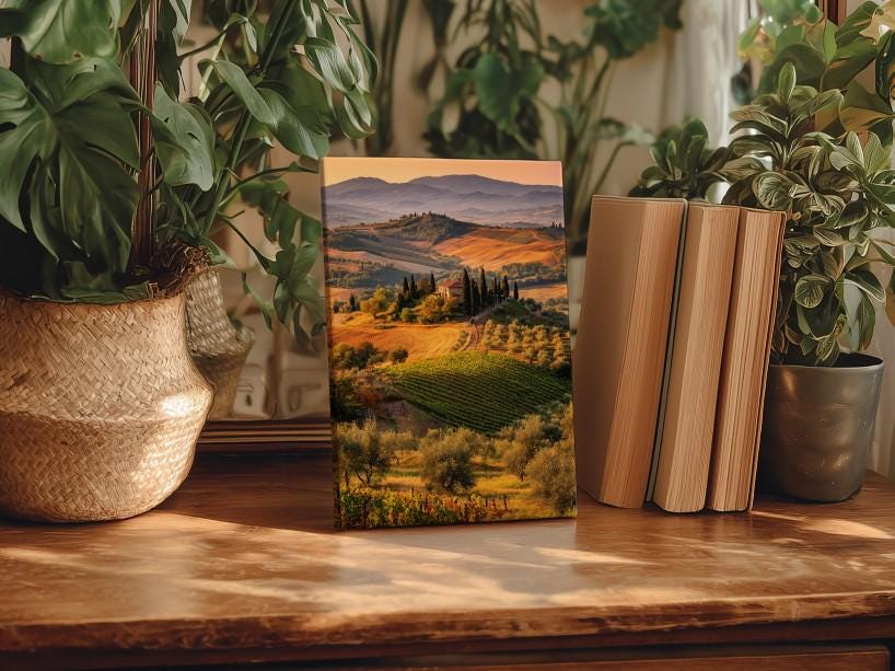a framed landscape photograph of a countryside scene, placed on a wooden surface next to some potted plants and books.