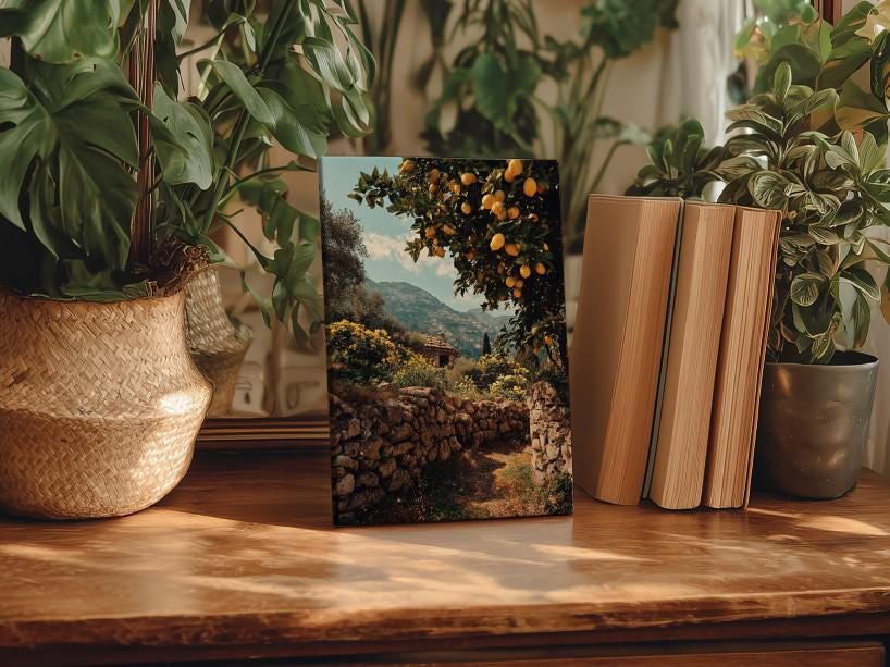 a wooden table with a framed photograph of a stone wall and a tree with oranges, surrounded by potted plants and books.