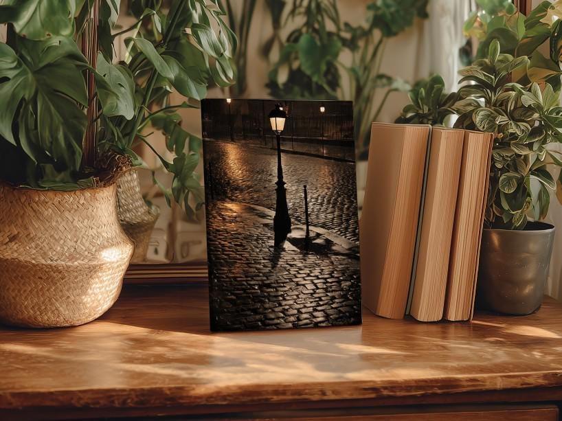 a wooden table with a framed photograph of a street lamp and cobblestone pavement, surrounded by potted plants and books.