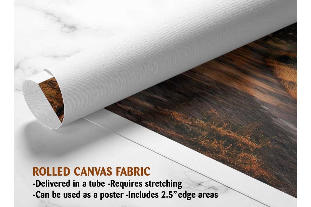 The image is a rolled canvas fabric, which is a type of canvas material used for creating posters or wall art. It is described as a tube-delivered fabric, which means it is delivered in a tube and requires stretching before use. The fabric can be used as a poster and includes a 2.5&quot; edge area.