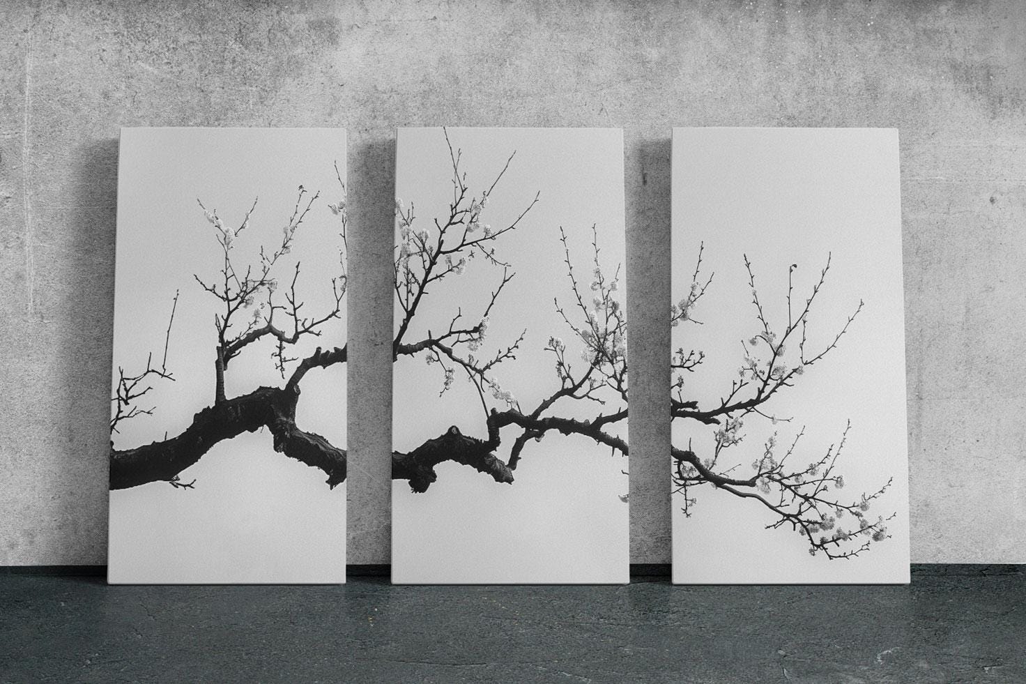 a black and white photo of a tree with no leaves