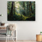 a serene forest scene with sunlight filtering through the trees, creating a warm and peaceful atmosphere.