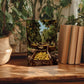 a wooden table with a framed photograph of an orange grove, surrounded by potted plants and books.