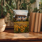 a wooden table with a framed photograph of a house surrounded by a field of sunflowers, placed in the center of the table. The table is also adorned with several potted plants, including a large potted plant on the left side and a smaller potted plant on the right side. There are also two books placed on the table, one on the right side and one on the left side.