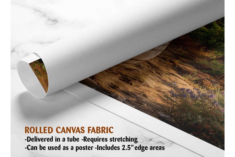 The image is a rolled canvas fabric, which is a type of canvas material used for painting or printing. It is described as a tube-delivered fabric, which means it is delivered in a tube and requires stretching before use. The fabric can be used as a poster, with a 2.5&quot; edge area.