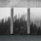 three black and white photographs of trees in a foggy forest