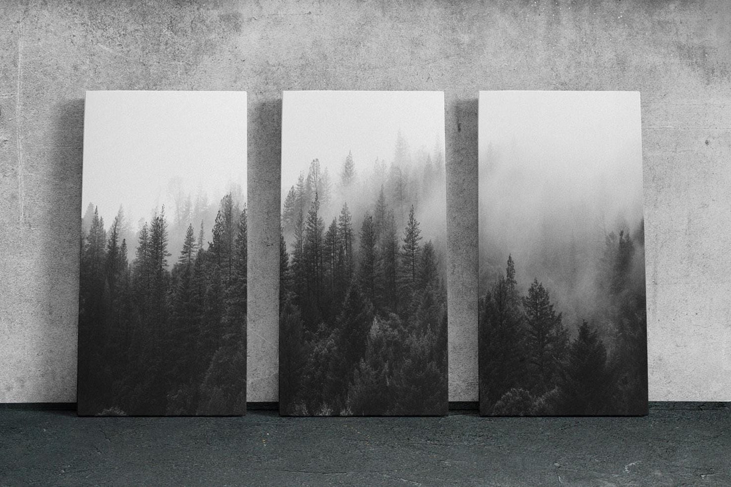 three black and white photographs of trees in a foggy forest
