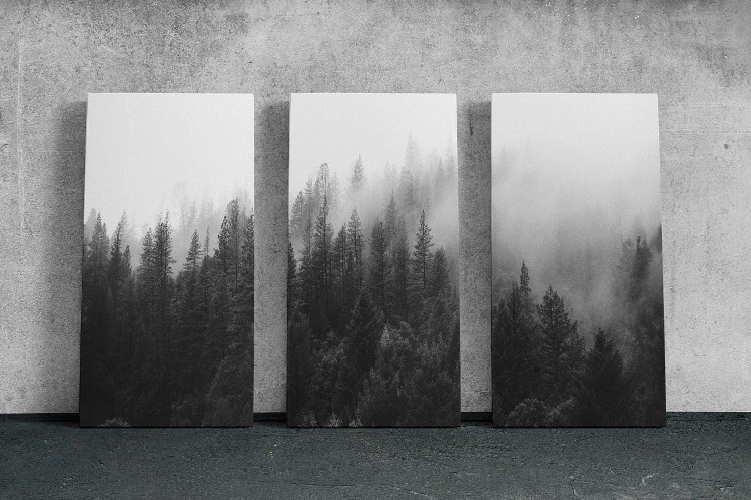 three black and white photographs of trees in a foggy forest