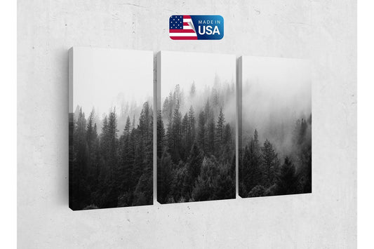 a black and white photo of a forest