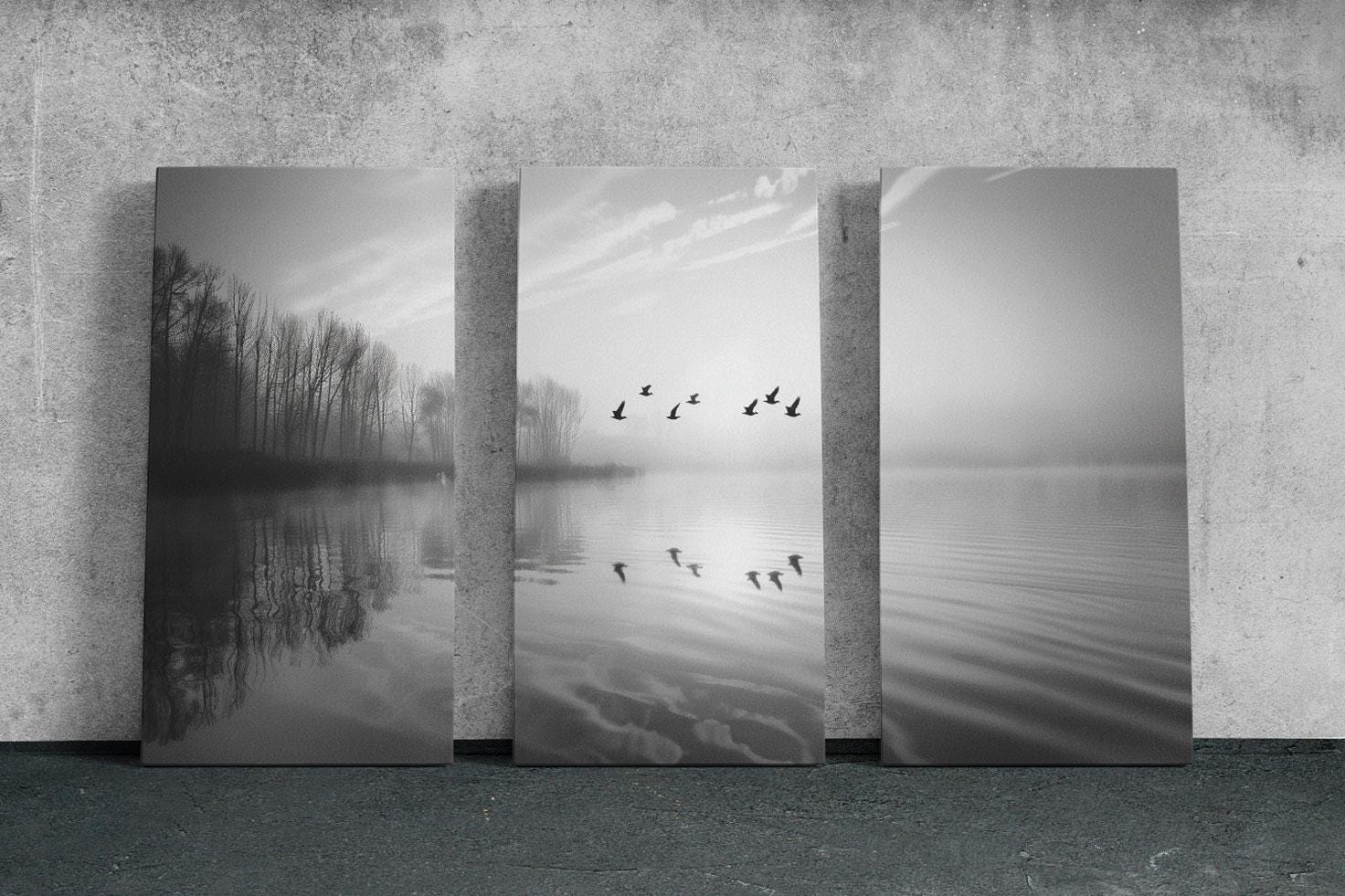 a black and white photo of birds flying over a lake