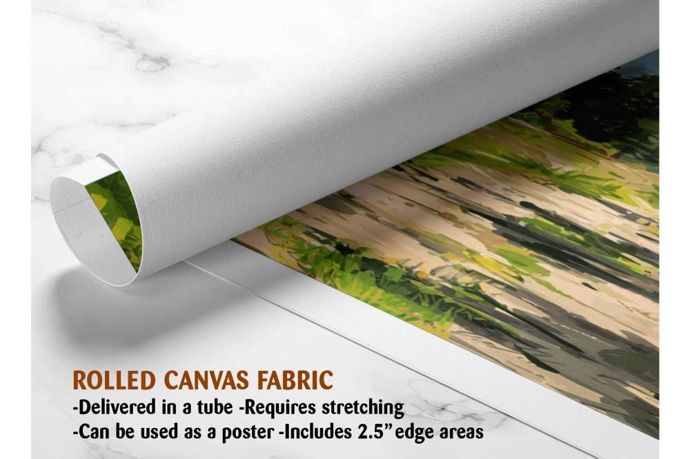 The image is a rolled canvas fabric, which is a type of canvas material used for painting or printing. It is described as a tube-delivered canvas fabric, which means it is delivered in a tube and requires stretching before use. It can be used as a poster with a 2.5&quot; edge area.