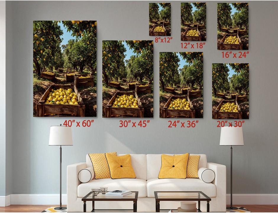 The image is a living room with a white sofa and a coffee table. Above the sofa, there are six framed images of oranges displayed in different sizes, ranging from 8x12 to 24x36 inches. The images are arranged in a grid-like pattern on the wall, creating a visually appealing display.