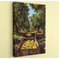 A wooden crate filled with ripe lemons sits in a lush, sunlit orchard, surrounded by rows of trees laden with fruit.