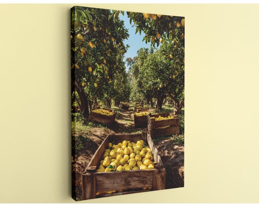 A wooden crate filled with ripe lemons sits in a lush, sunlit orchard, surrounded by rows of trees laden with fruit.
