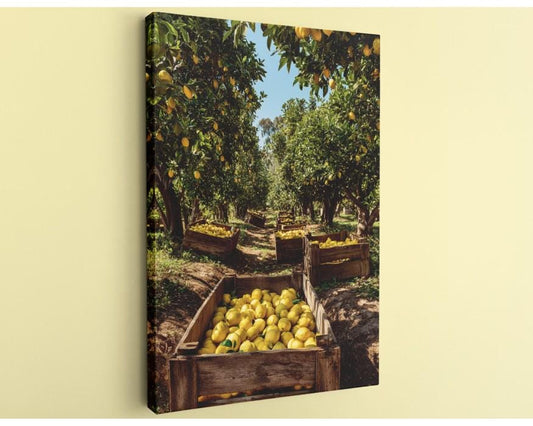 A wooden crate filled with ripe lemons sits in a lush, sunlit orchard, surrounded by rows of trees laden with fruit.