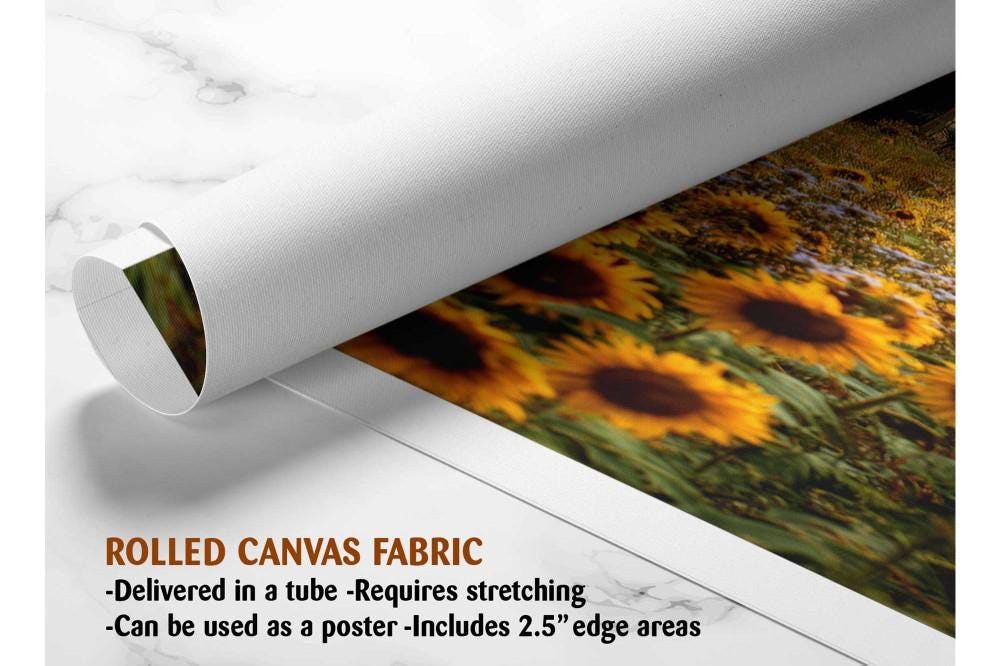 The image is a rolled canvas fabric, which is a type of canvas material used for painting or printing. It is described as a tube-delivered fabric, which means it is delivered in a tube and requires stretching before use. The fabric can be used as a poster, with a 2.5&quot; edge area.