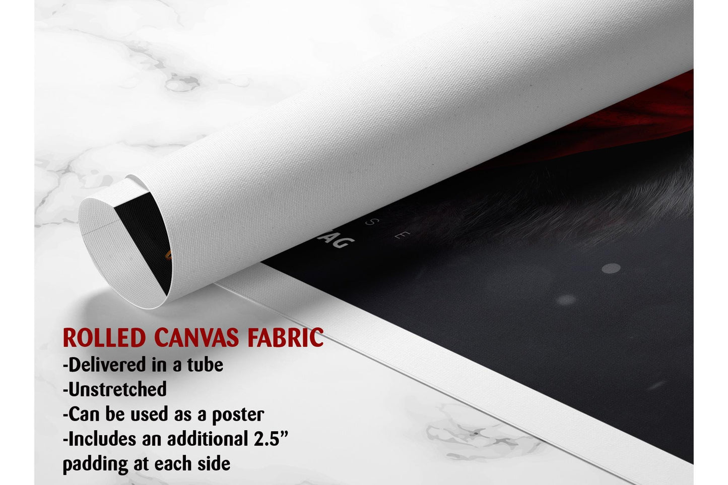 Three Wise Monkeys Canvas | Museum Quality Print - Ready to Hang Wall Art