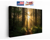 Forest Trail Canvas Print – Rustic Woodland Wall Art | Sunrise Nature Print