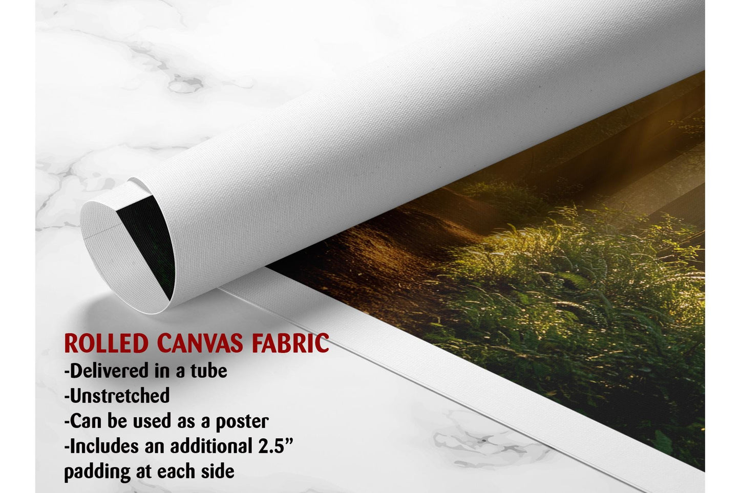 Forest Trail Canvas Print – Rustic Woodland Wall Art | Sunrise Nature Print